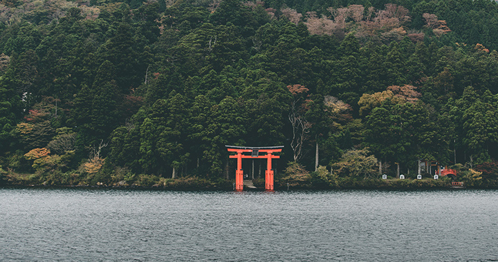 上海两日游最佳攻略，两天尽享魔都魅力——上海两日游最佳攻略（通用2篇）(图3)