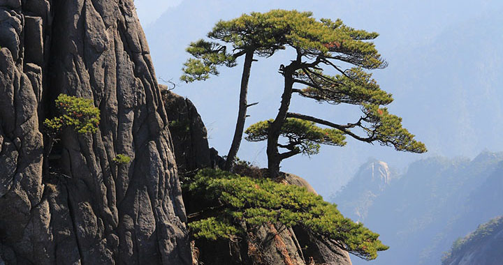 天涯海角景区游玩攻略，天涯海角景区游玩攻略（通用2篇）(图3)