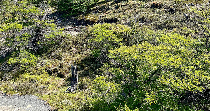 南非旅游季节，（通用2篇）(图2)