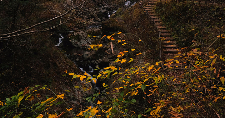 南川景点，探秘重庆南川：自然与人文交织的旅游胜地（通用2篇）(图3)