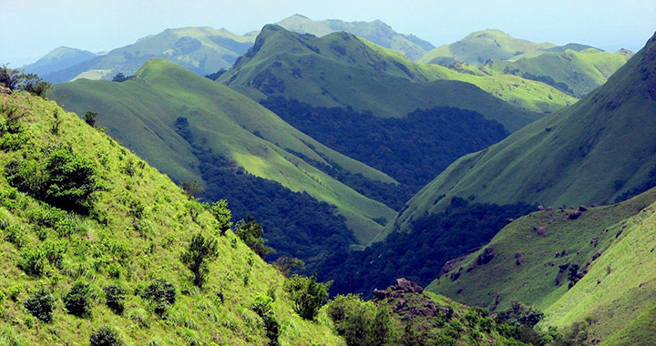 仙女山自驾游玩攻略，仙女山自驾游全攻略：一路风景，一路欢歌（通用2篇）(图1)