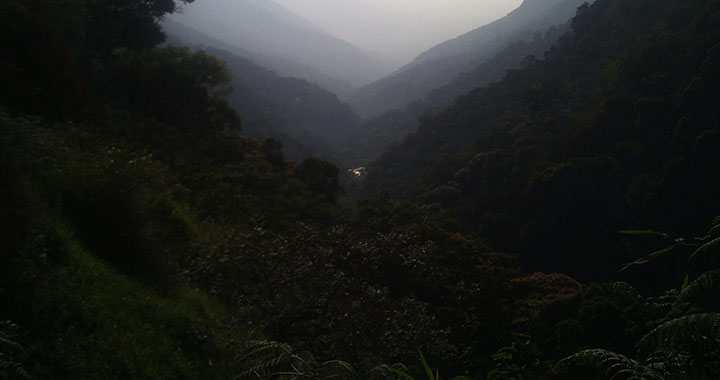 西双版纳景点排行榜，西双版纳景点排行榜：探秘热带雨林之瑰宝（通用2篇）(图2)