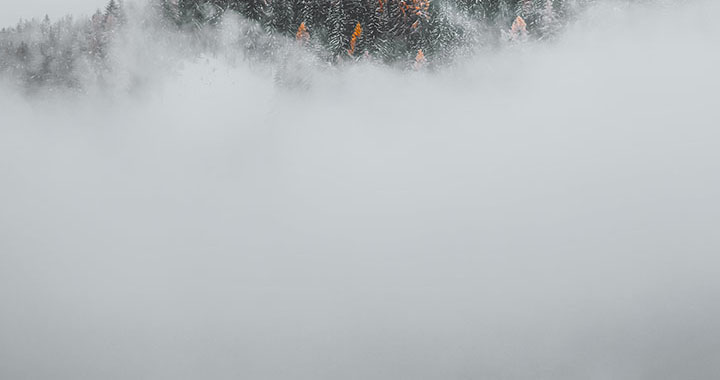 黄山风景区门票预订，黄山风景区门票预订全攻略（通用2篇）(图2)