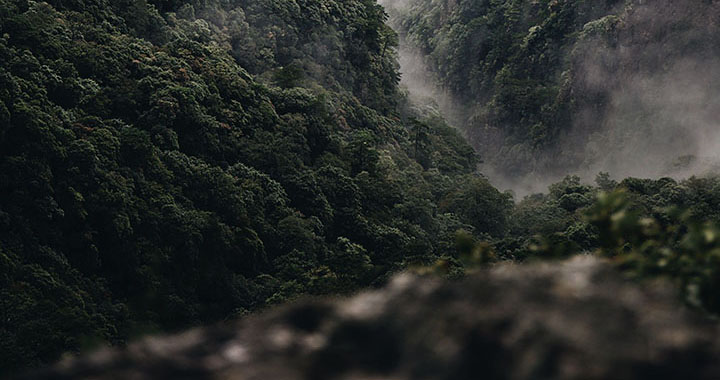 凤凰旅游景点，翱翔于神话与现实之间的凤凰古城——深度探索其独特旅游景点（通用2篇）(图2)